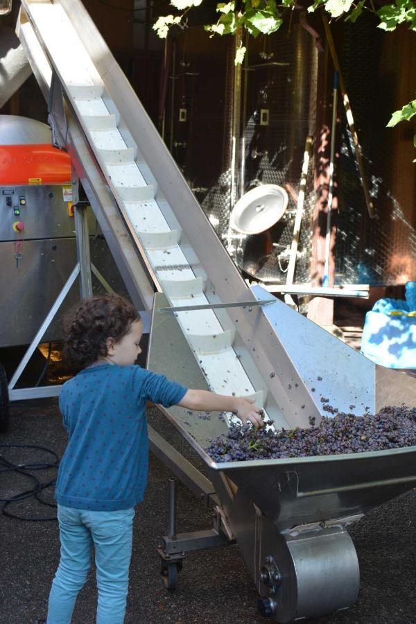 Chez Cecile Bed And Breakfast Chez Le Vigneron Colmar Luaran gambar